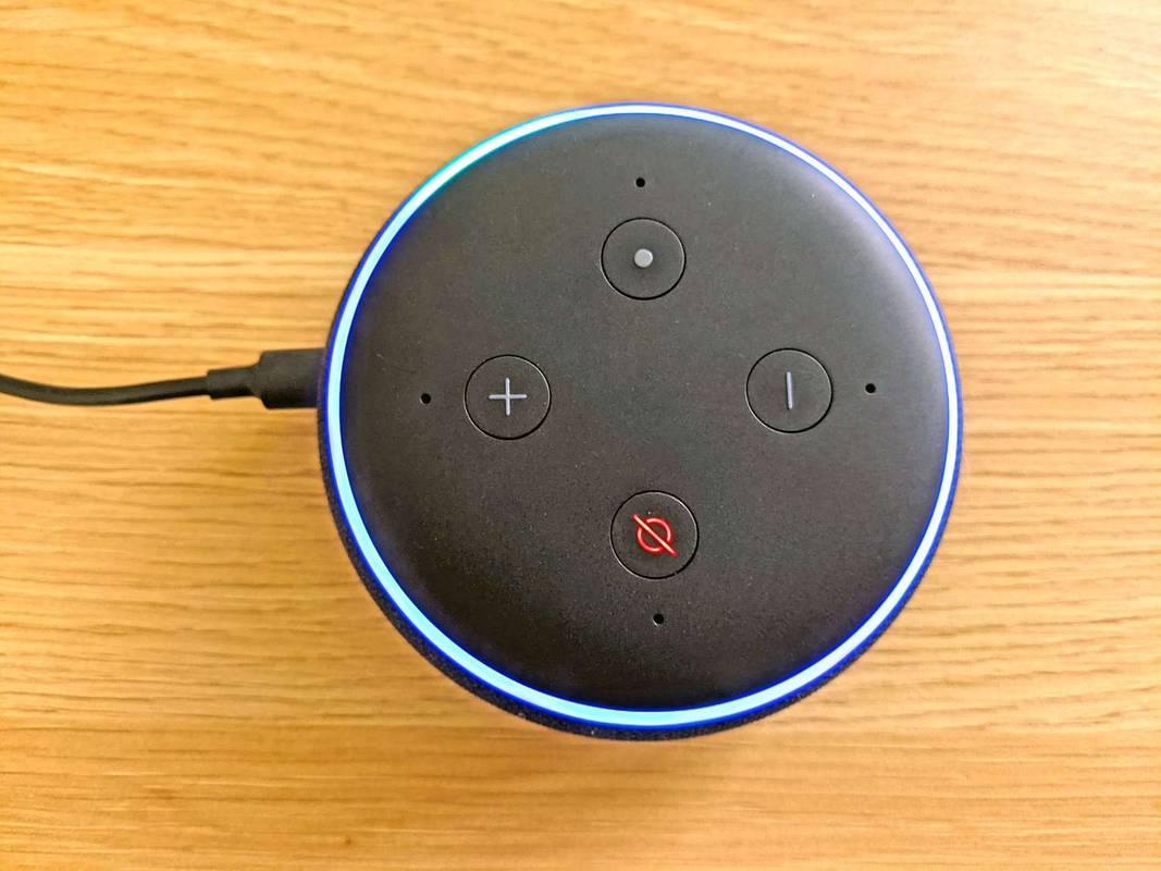 Was bewirken die Echo Dot-Tasten?