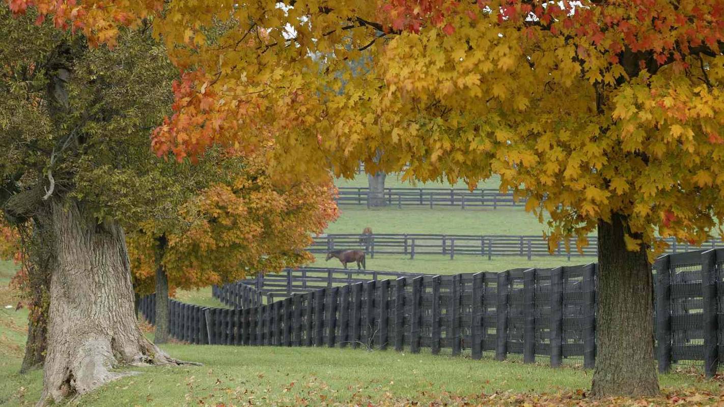 39 najlepších bezplatných jesenných tapiet