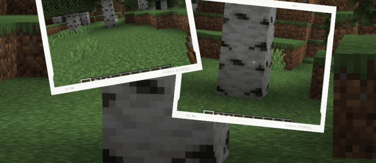 Sådan zoomer du ind i Minecraft
