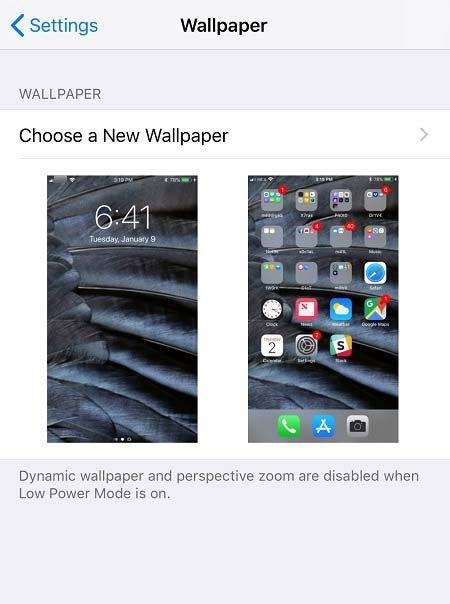 iPhone 7/7+에서 배경 화면을 변경하는 방법