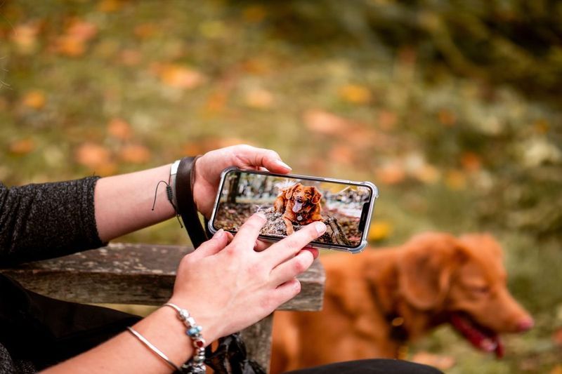 iPhone XS Max - Cómo usar la cámara lenta