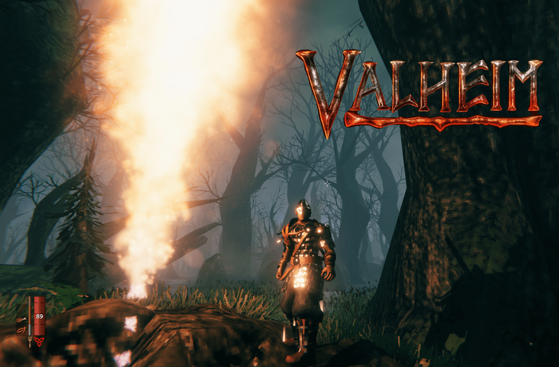 So finden Sie den Sumpf in Valheim
