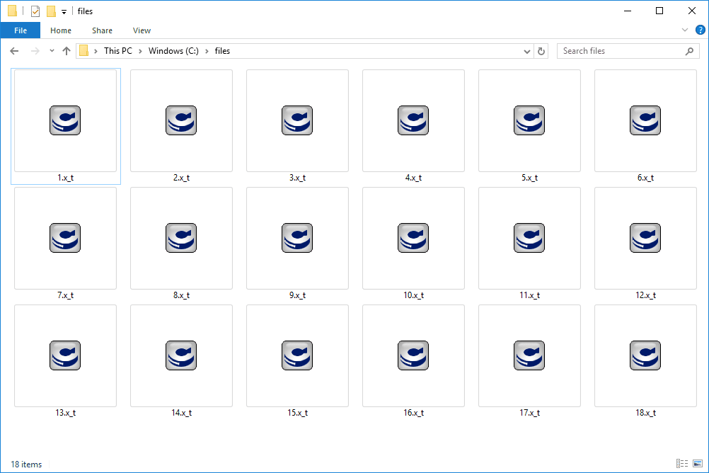 Vad är en X_T fil?