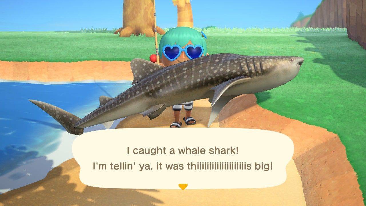 Comment attraper un requin dans Animal Crossing: New Horizons