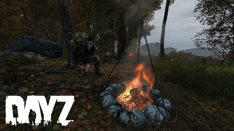 Как получить камни в Dayz