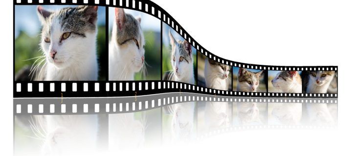 Kuidas teha filmi teenusest Google Photos