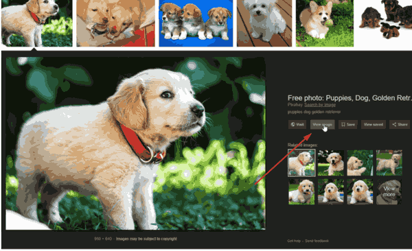 Obtenha o botão Exibir imagem na pesquisa de imagens do Google
