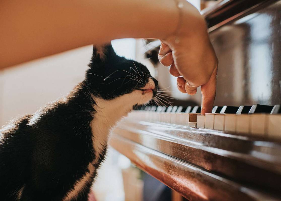 Cómo solucionarlo cuando el sonido no funciona en Instagram