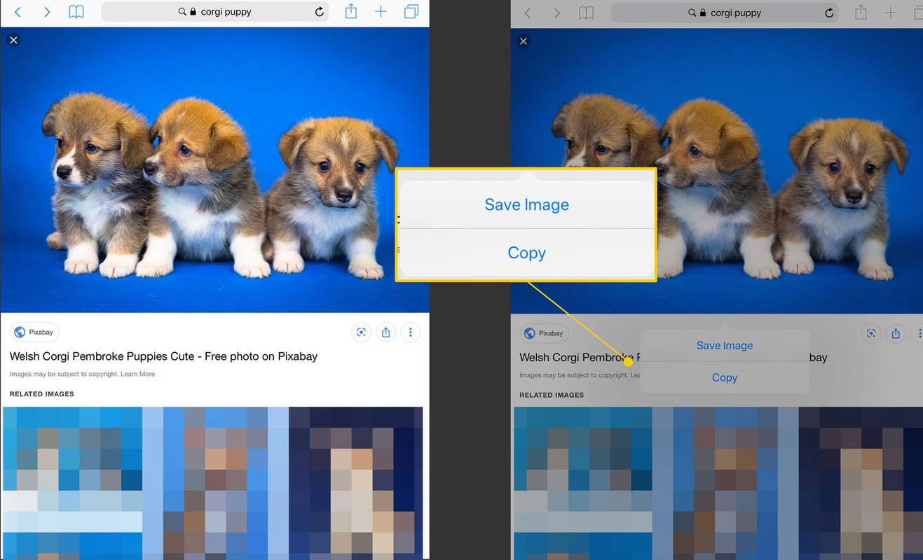Comment télécharger et enregistrer des photos et des images sur la pellicule de l'iPad