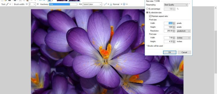 Ako zvýšiť rozlíšenie existujúceho obrázka pomocou programu Paint.NET