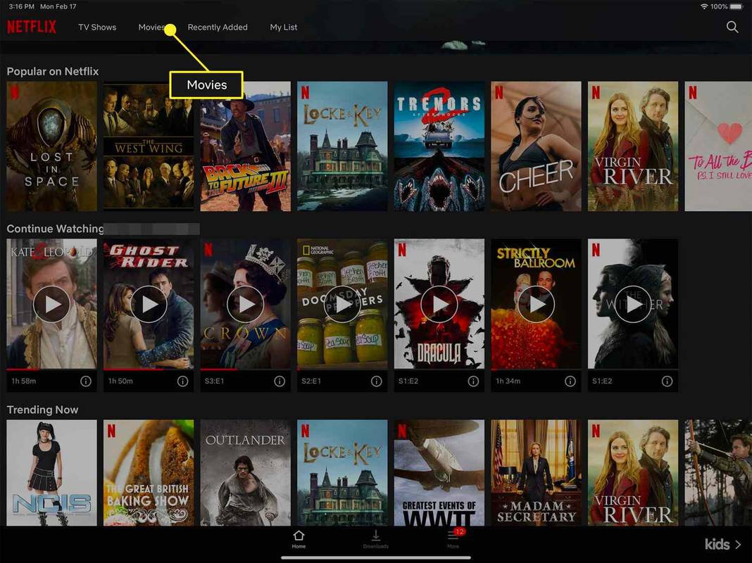 Netflix에서 Mac 또는 iPad로 영화를 다운로드하는 방법