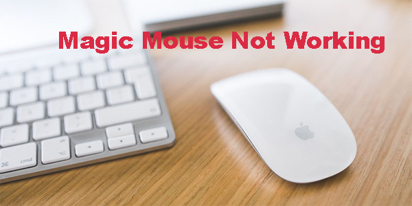Sådan repareres en magisk mus, der ikke virker