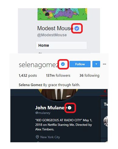 Hoe u een geverifieerd vinkje (voorheen Crown) krijgt in TikTok