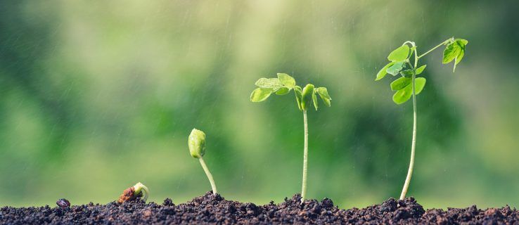 Što je financiranje sjemenom ?: Razumijevanje financiranja sjemenom za posao