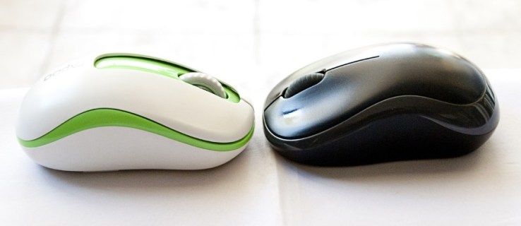 Mouse-ul nu a fost detectat în Windows 10 [Cele mai bune remedieri]