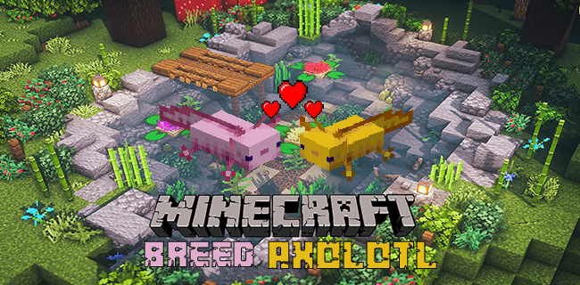 Kuidas Axolotlit Minecraftis kasvatada