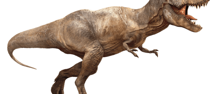 T rex potrebbe aver usato le sue piccole armi per feroci tagli