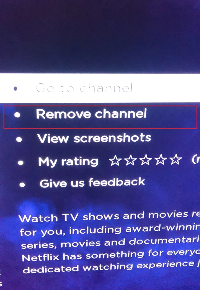   Roku Netflix Channel 2