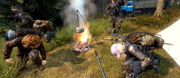 Wie man in Dayz ein Feuer macht