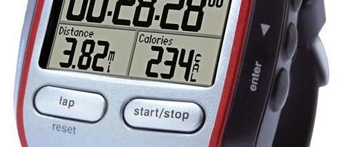 Recenzja Garmin Forerunner 305