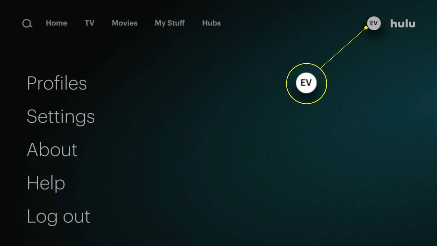 Cara Keluar dari Hulu di Roku