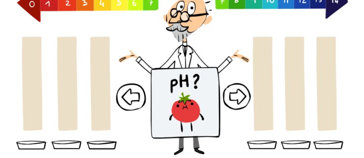 Google Doodle-spellen: test je kennis van pH-schalen met deze interactieve Doodle over S.P.L Sørensen