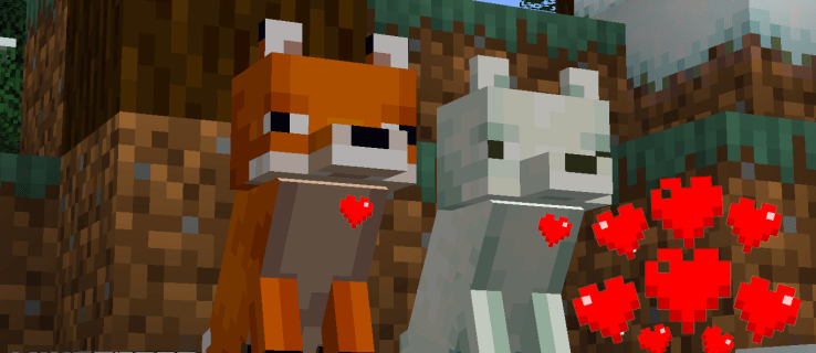 Hur man tämjer en räv i Minecraft