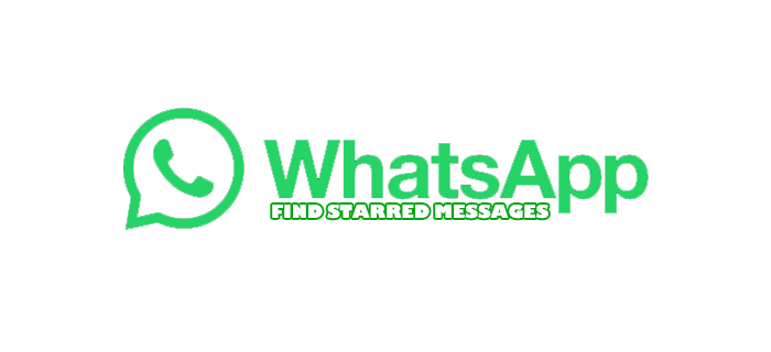 วิธีค้นหาข้อความที่ติดดาวใน WhatsApp