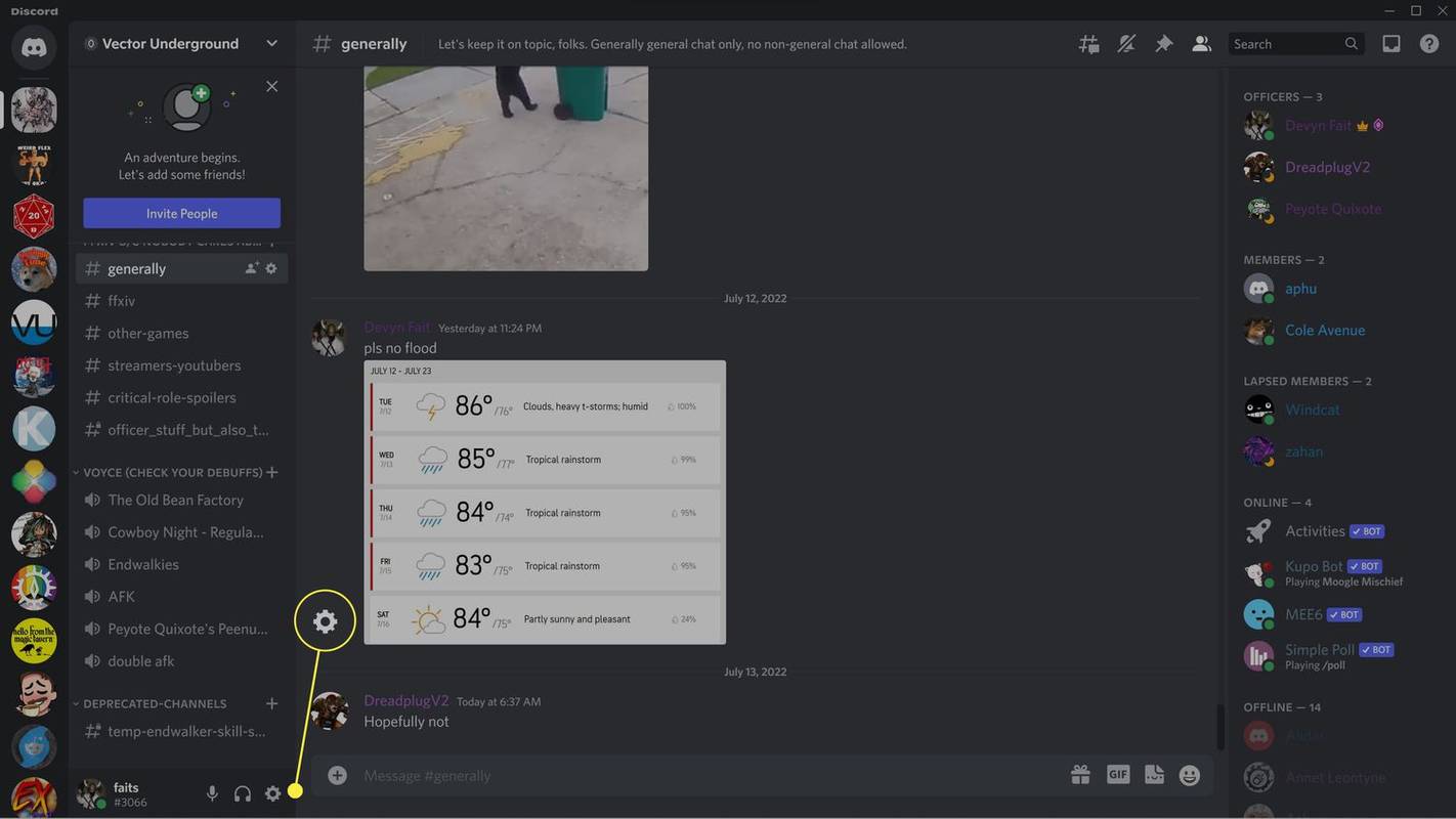 Cara Menstrim Amazon Prime di Discord