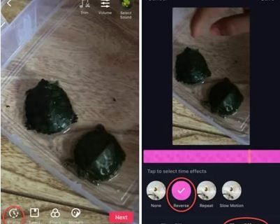TikTokでリバースプレイする方法