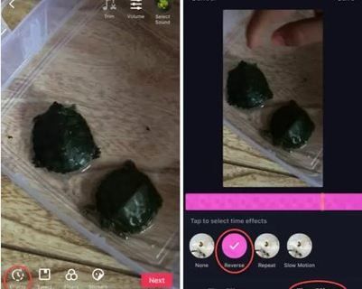 Como tocar em reverso no TikTok