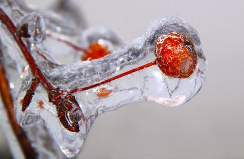 Lluvia helada: ¿Qué es la lluvia helada y en qué se diferencia de la nieve?