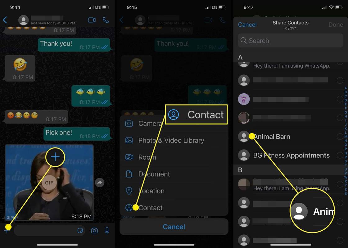 Comment partager un contact sur WhatsApp