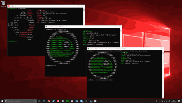 Faire ressembler WSL au terminal Ubuntu dans Windows 10