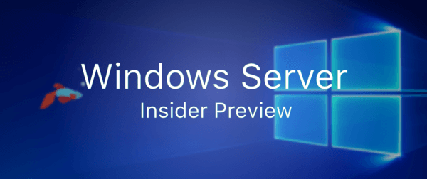 Пуснат е Windows Server Insider Preview 19551