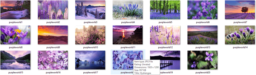 Lejupielādējiet Windows 10, 8 un 7 tēmu Life in Lavender