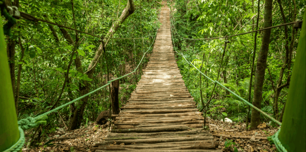 Lataa Wooden Walkways PREMIUM 4K -teema Microsoft Storesta