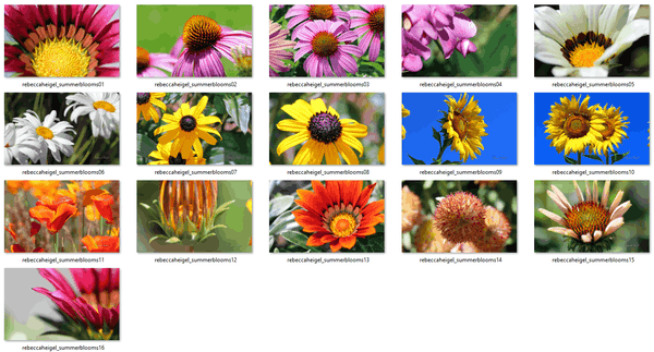 Windows 10、Windows 8、Windows7の夏の花のテーマ