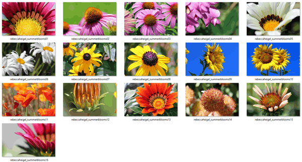 Summer Blooms Theme for Windows 10, Windows 8 og Windows 7