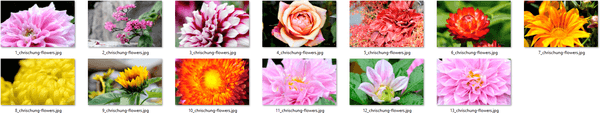 Κατεβάστε το θέμα Fantastic Flowers για Windows 10, 8 και 7