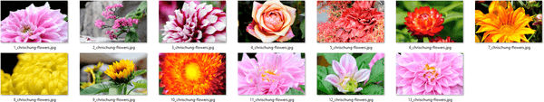 Download het Fantastic Flowers-thema voor Windows 10, 8 en 7