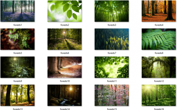Descarregueu el tema Forests per a Windows 10, 8 i 7