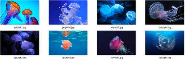 Tema ng jellyfish para sa Windows 10, 8, at 7