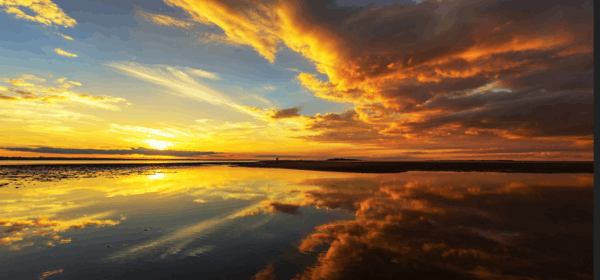 World Oceans Day 4K Tema para sa Windows 10